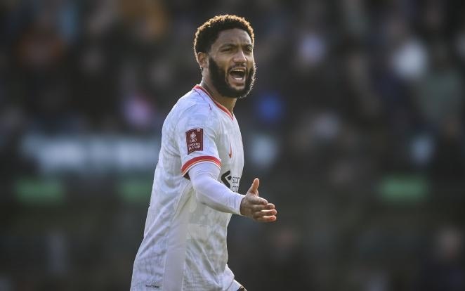 已成为许多 已成为许多